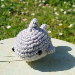 Petit requin