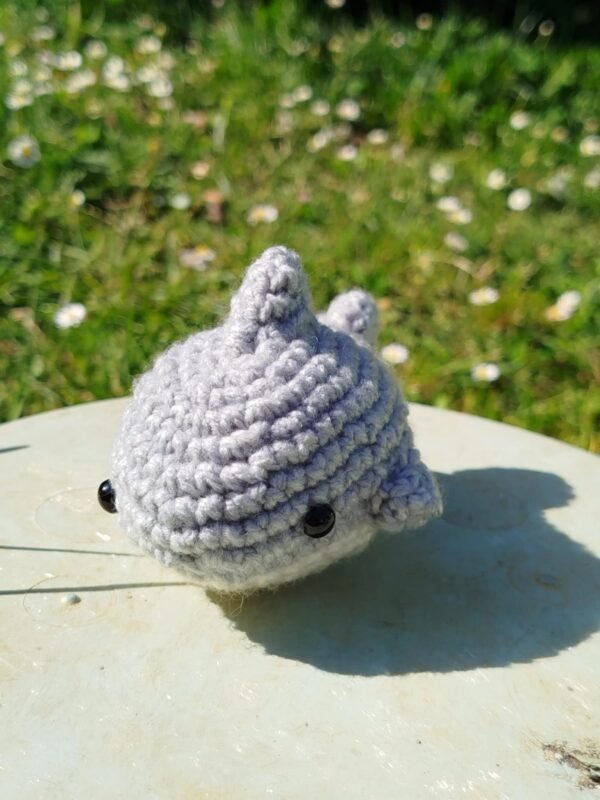 petit requin au crochet de face