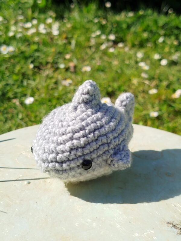 petit requin au crochet de profil