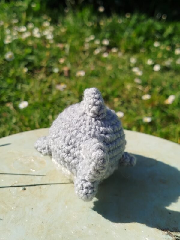 petit requin au crochet de dos