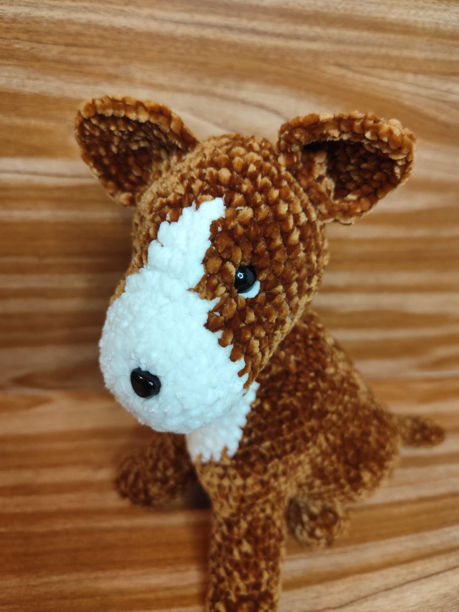 chien au crochet portrait